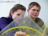 GEONEXT-Handbuch: Pythagoras © A. Bubrowski/CJD-UPDATE 2010