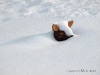 Schneemassen in Nordhessen: Spielplatz © A. Bubrowski/CJD-UPDATE