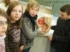 Sexualkundeunterricht 4 © A. Bubrowski/CJD-UPDATE