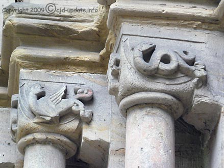 Drachen © A. Bubrowski/CJD-UPDATE