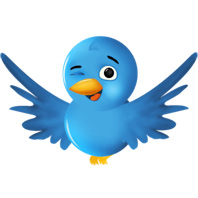 Das Twitter Vögelchen