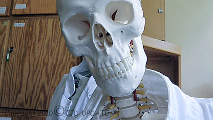  Auch das alte Skelett muss bald in das neue Biohaus umziehen. Bild: BUB