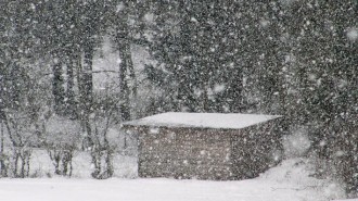 Schneemassen in Nordhessen: Schneesturm © J. Knupp/CJD-UPDATE