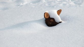 Schneemassen in Nordhessen: Spielplatz © A. Bubrowski/CJD-UPDATE
