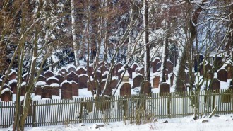 Schneemassen in Nordhessen: Jüdischer Friedhof, Neustadt © A. Bubrowski/CJD-UPDATE