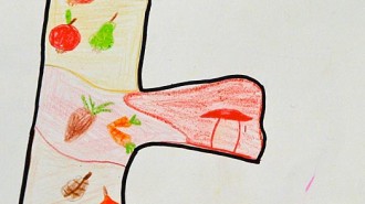 Erntedank 2010 (3)