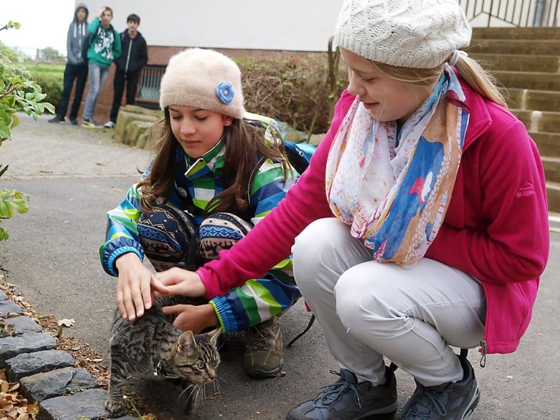 Nach Kontakt mit Katzen: Hände waschen. Bild: Andreas Bubrowski/CJD Oberurff