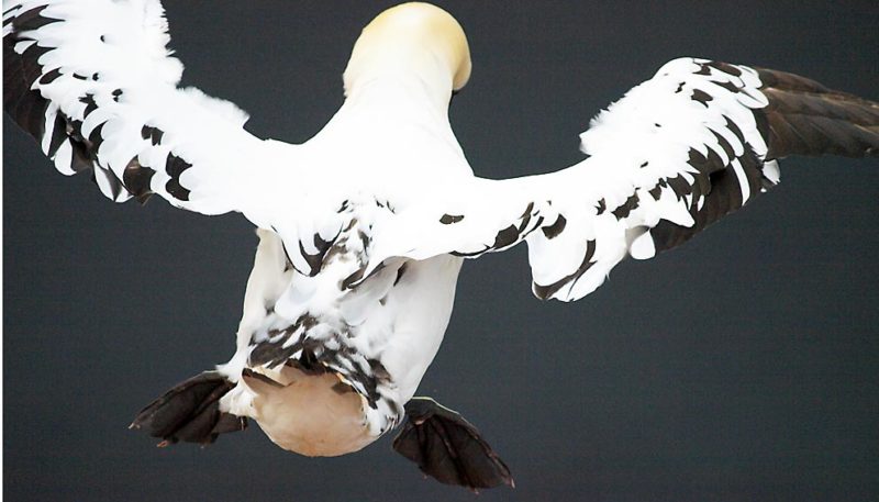 Den Hintern bewegen. Bild: Andreas Bubrowski / CJD Oberurff