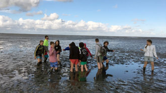 Wattwanderung der besonderen Art | Foto: Christiane Stelling/CJD Oberurff
