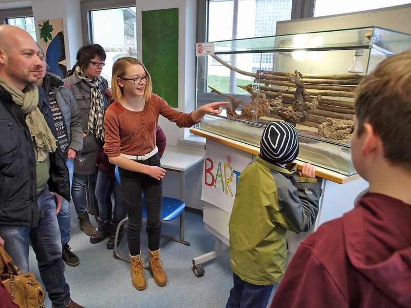 Tag der offenen Tür: Schüler stellen ihre Arbeit vor | Bild: A. Bubrowski/CJD Oberurff
