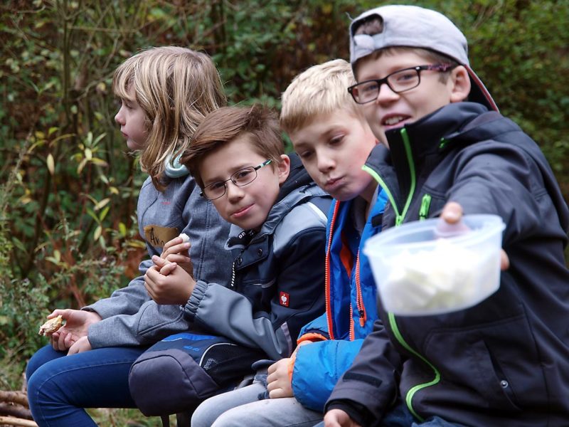 Kohlrabi-Snack | Bild: A. Bubrowski/CJD Oberurff