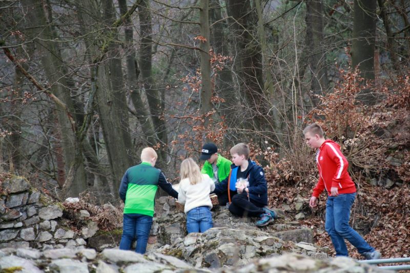 Im Wald