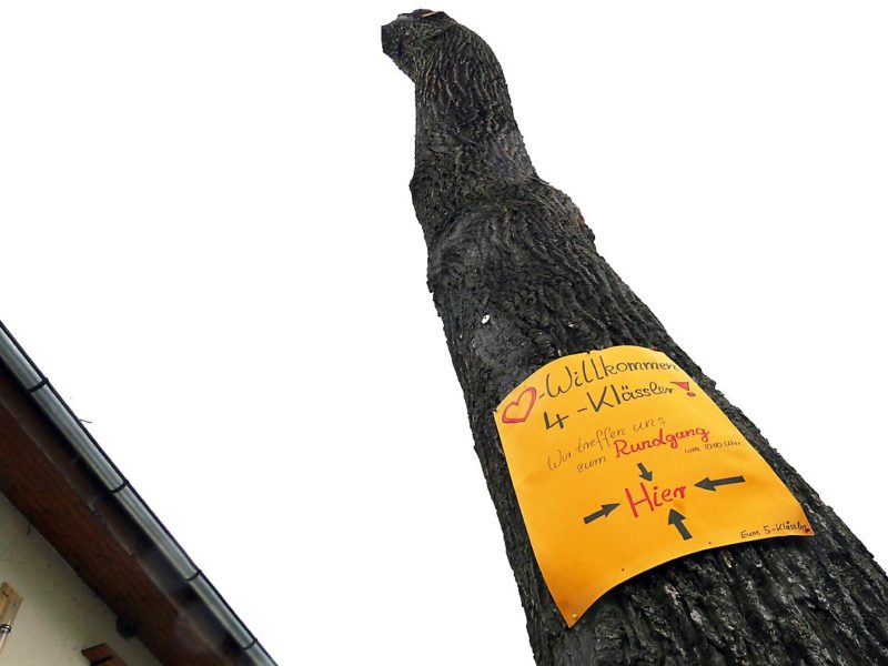 Marterpfahl? | Foto: A. Bubrowski/CJD Oberurff