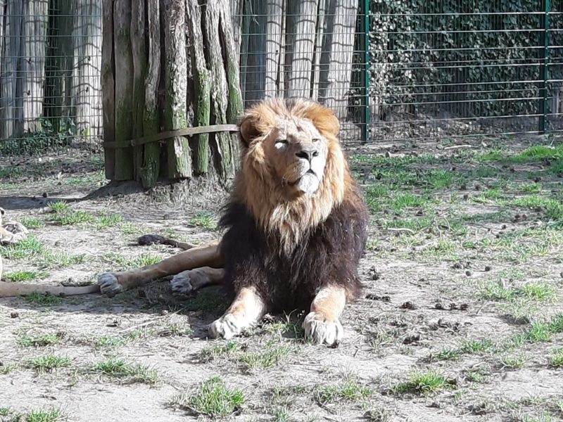 In den Osterferien im Stralsunder Zoo | Foto: Carolina Schulz/CJD Oberurff