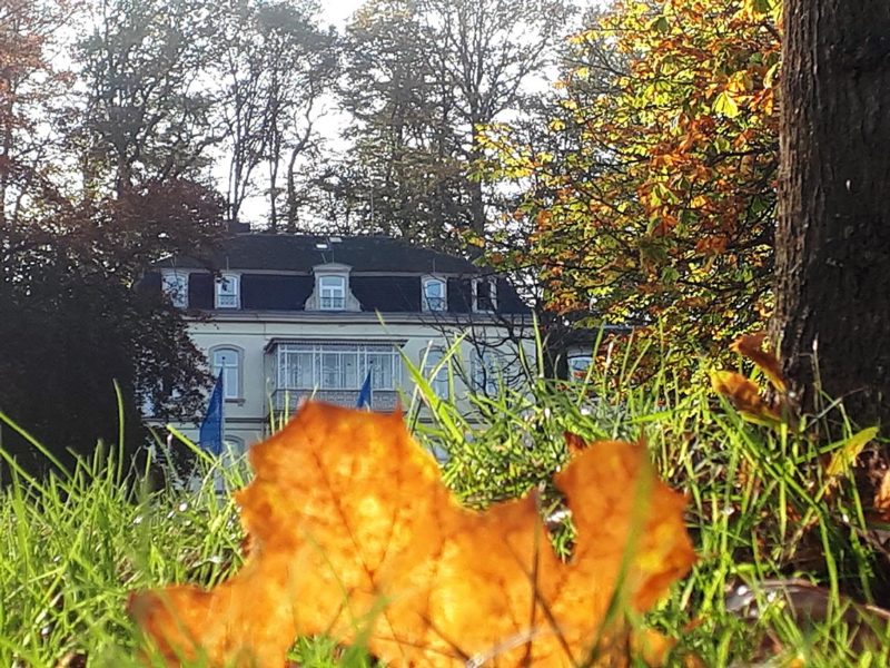 Schloss im Herbst 2019 | Foto: Kevin Luckhardt/CJD Oberurff