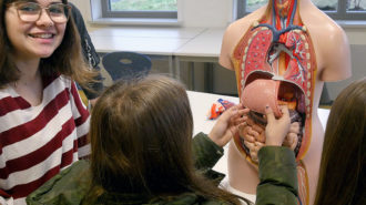 Biologie: Was gehört wo hin(ein) | Foto: BUB/CJD Oberurff