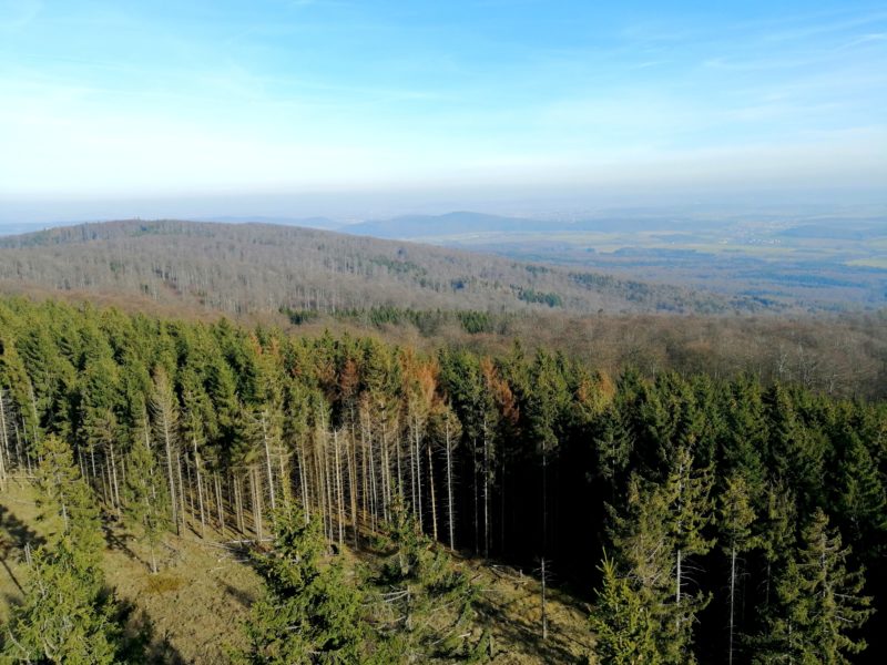 Kellerwald von oben | Foto: Dennis Ruhwedel/CJD Oberurff