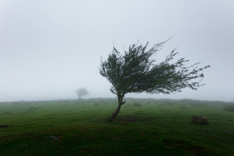 Distanzunterricht wegen Unwetterwarnung.