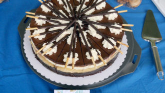 Torte 2: Mikadotorte