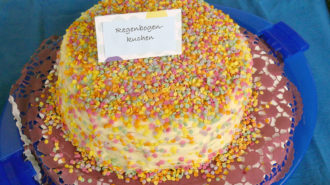 Torte 4: Regenbogenkuchen