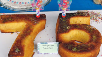 Torte 9: Orange-Cake-Puerto Rico