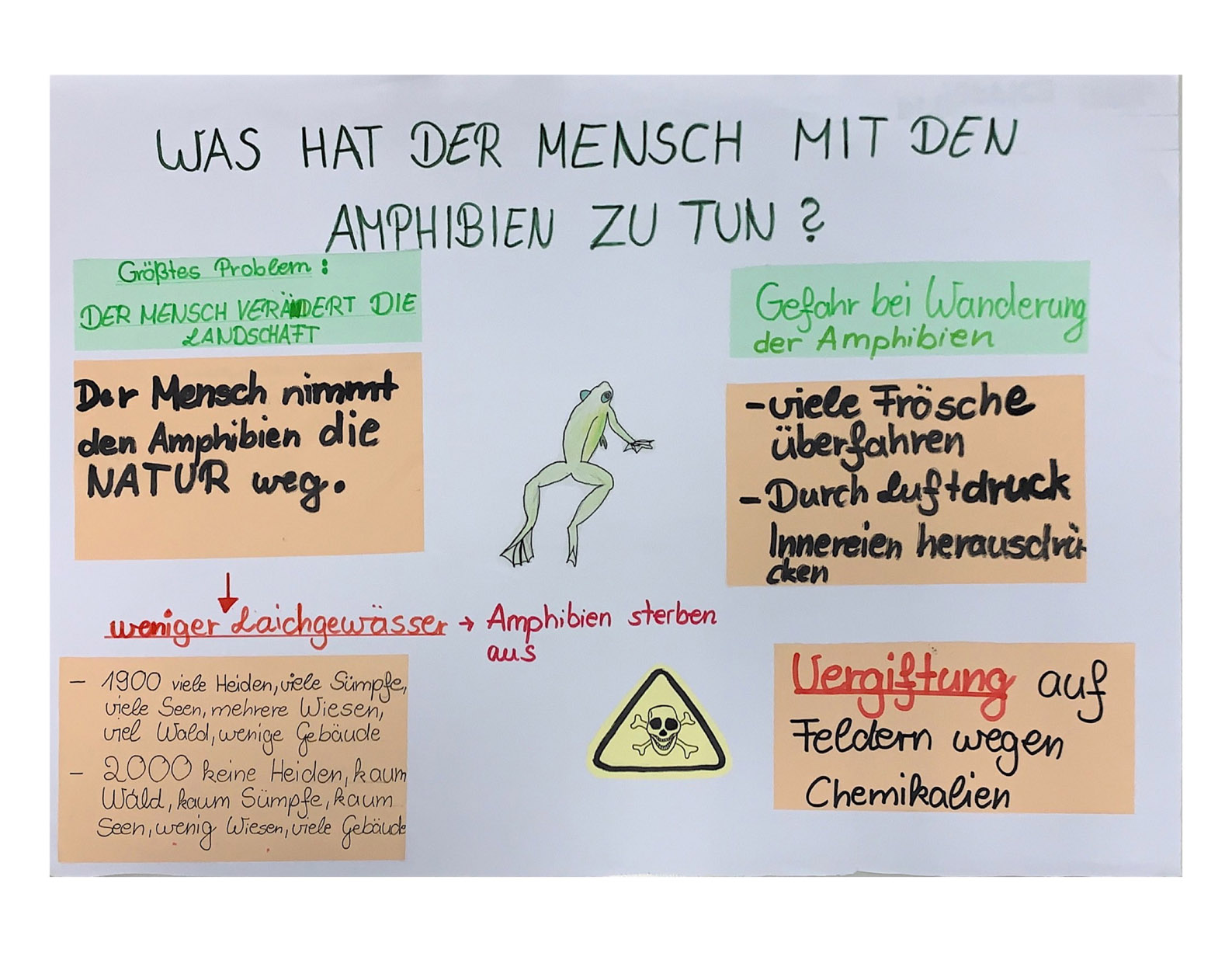 Einfluss des Menschen auf Amphibien