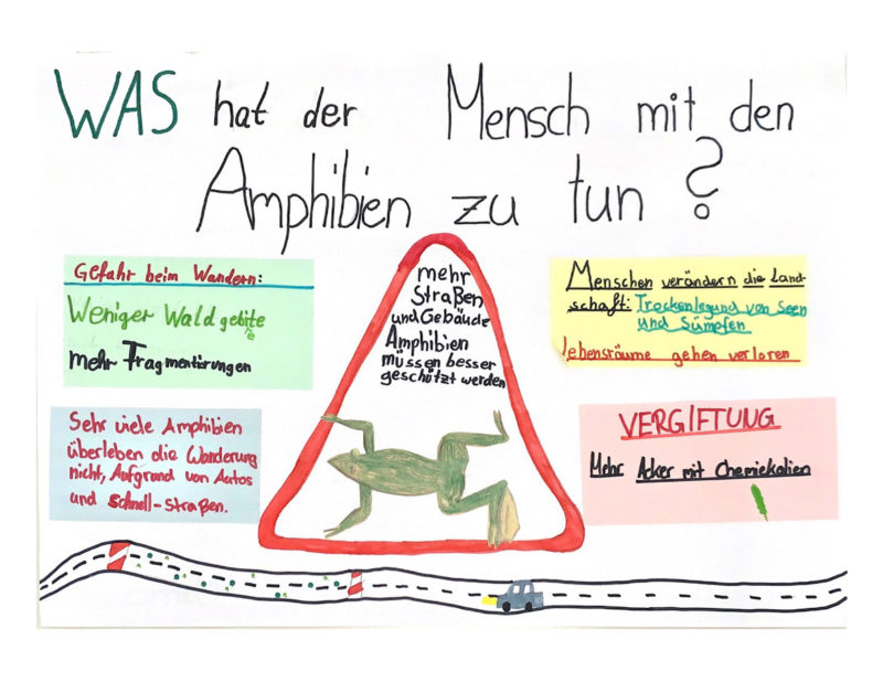 Was hat der Mensch mit Amphibien zu tun?
