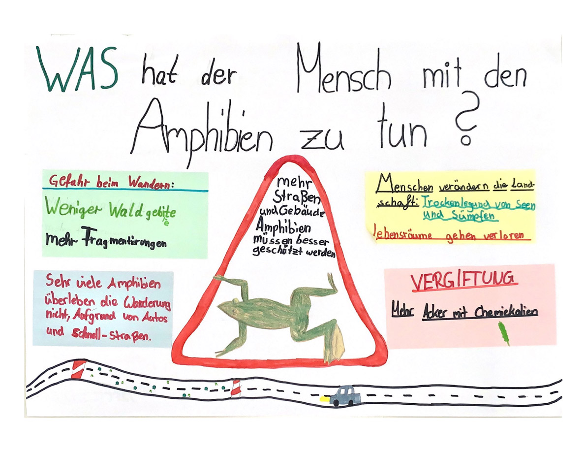 Was hat der Mensch mit Amphibien zu tun?
