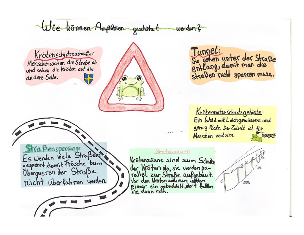Wie können Amphibien geschützt werden?